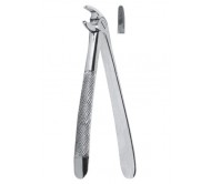 Extracting Forceps